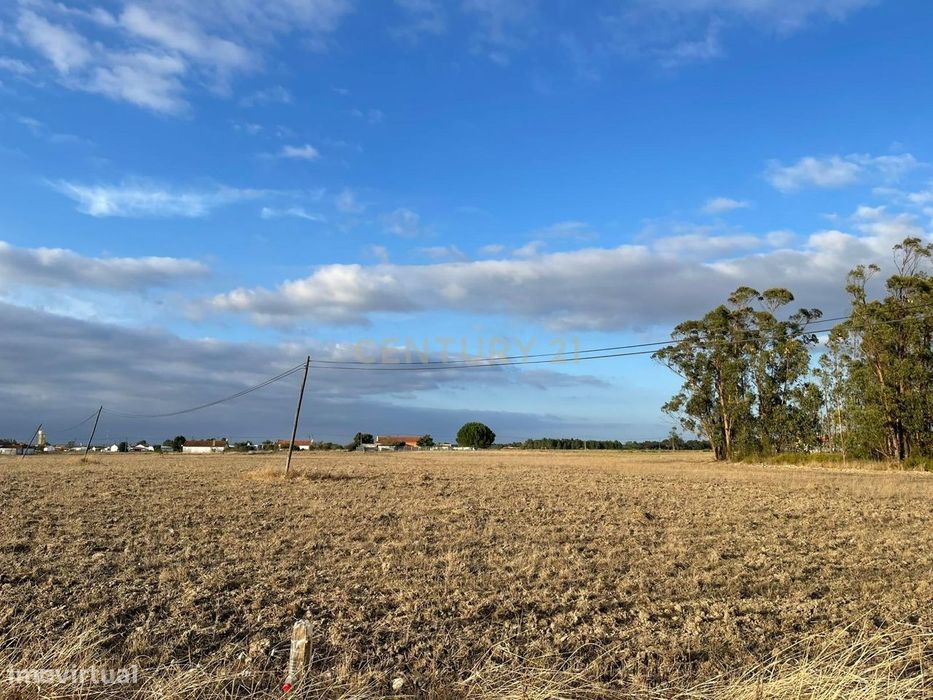 Terreno Rústico com Projeto Aprovado | 5.000 m² | Foros de Salvaterra