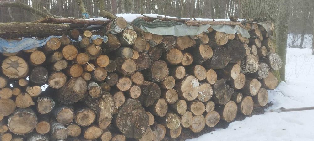Drewno opałowe DĄB SOSNA OLCHA sezonowane suche