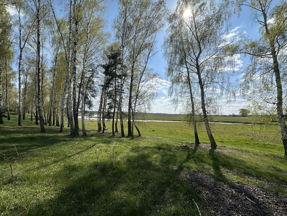 Дача в Сосонці біля річки Десенка