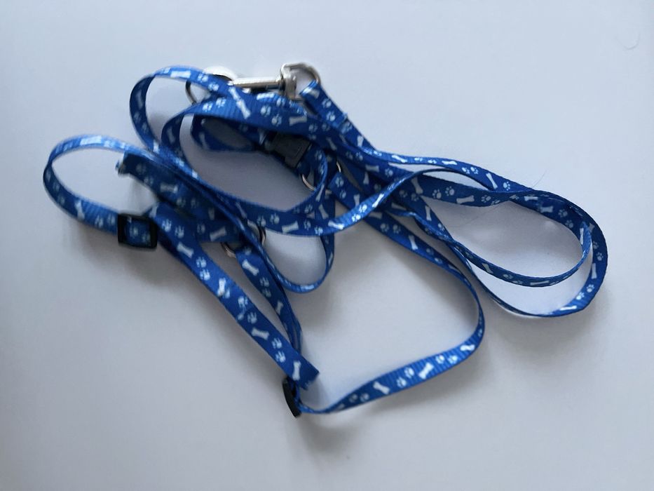 Drapak dla małego kota