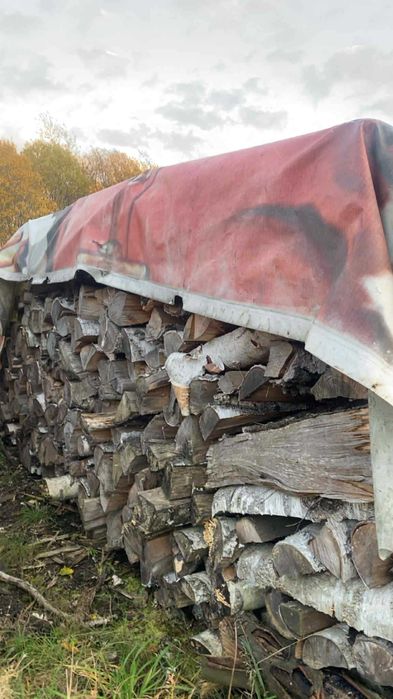 Drewno kominkowe brzoza suche