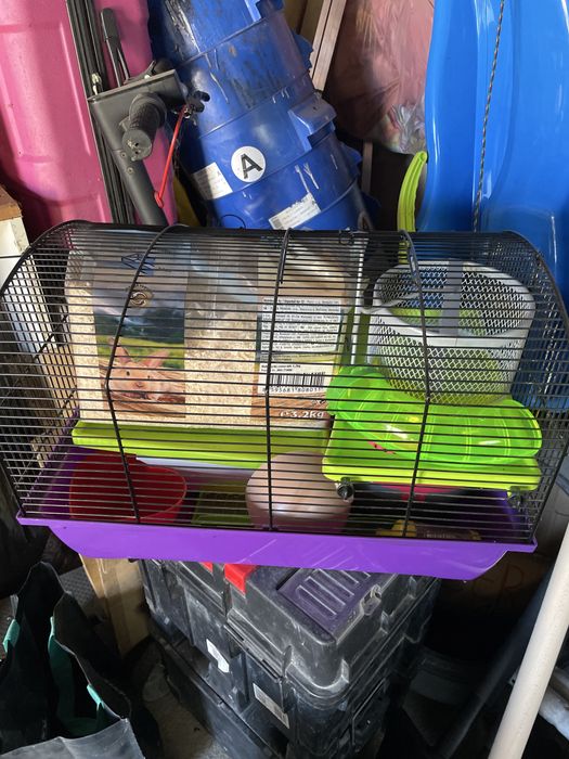 Skrzynka dla chomika