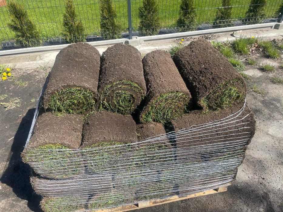 Trawa W Rolce / PRODUCENT / Transport