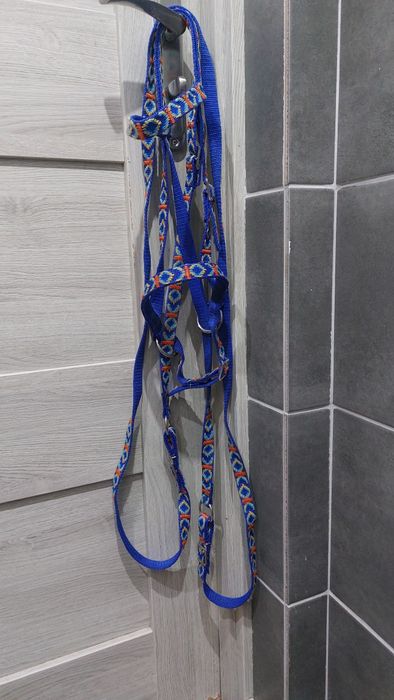 Ogłowie bezwędzidłowe