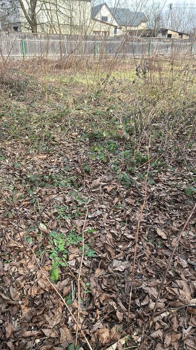 Земельна ділянка, площею 0,00901 га. Закарпатська обл.