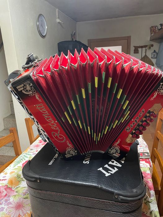 Vendo Concertina da Famosa marca Recanati