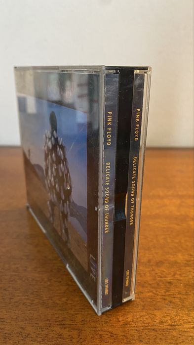Pink Floyd Album “Delicated Sound of Thunder” LIVE