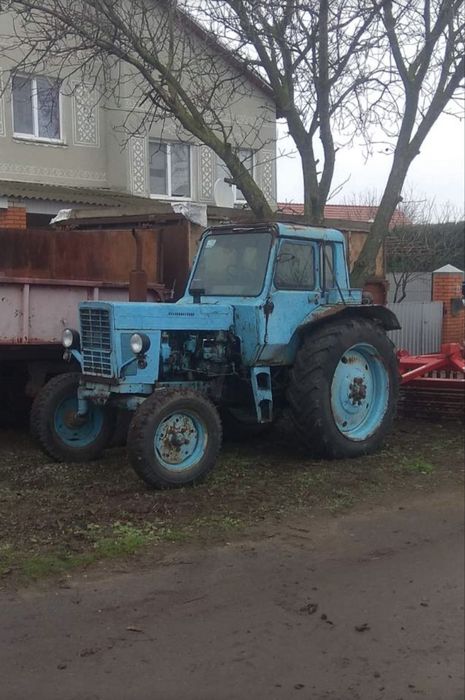 Трактор Бедарус МТЗ 80