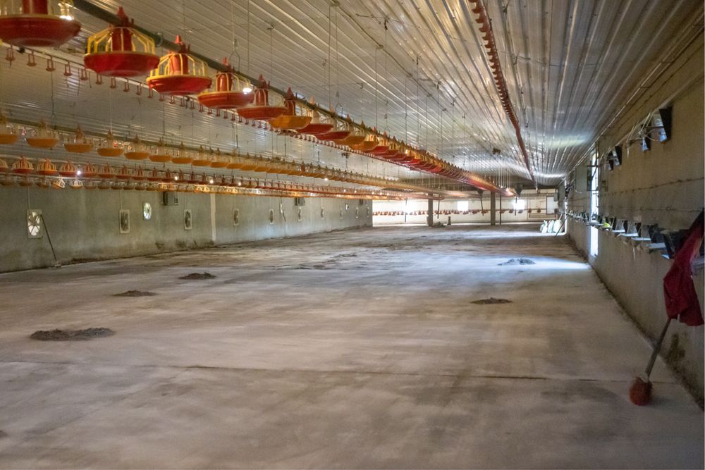 Budynek Kurnik 1600m2