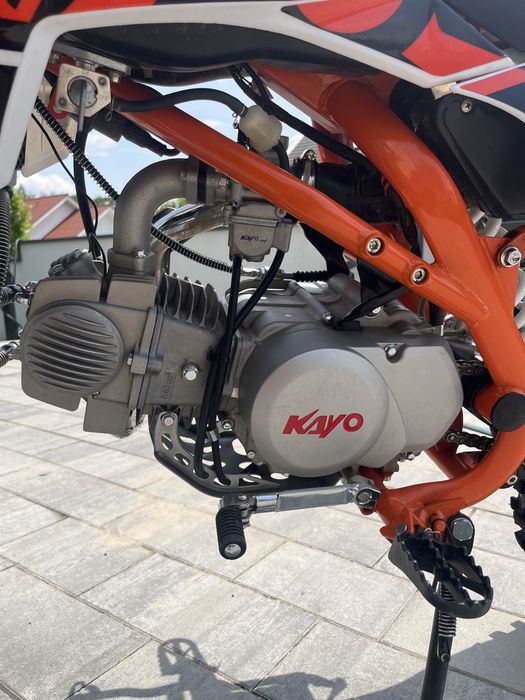 Kayo 140 TT | 2025 | 39 mth |   Zadbany | Pitbike Cross