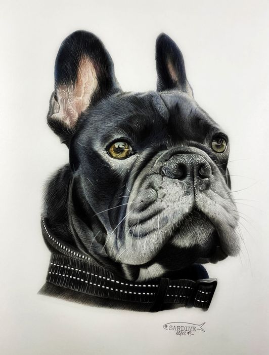 Retratos canino/felino desenhados à mão