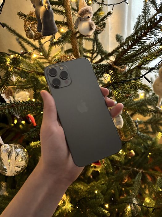 iphone 12 pro max 256