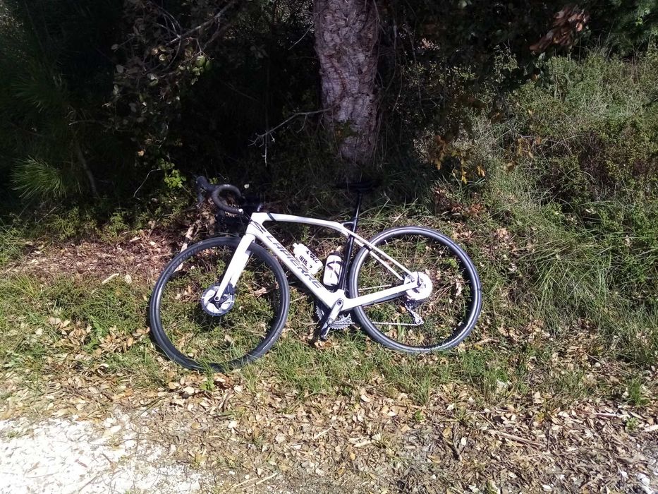 Lapierre Xelius 5.0 SL 2021