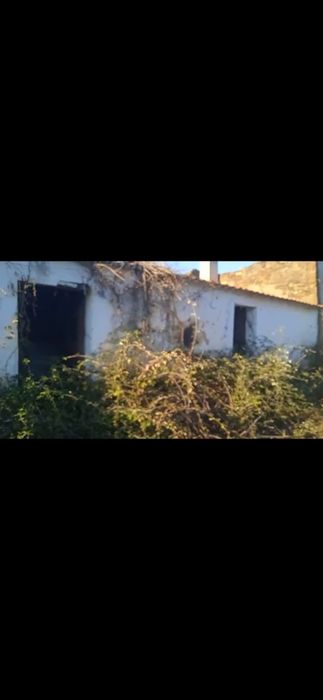 Monte alentejano em São Teotónio