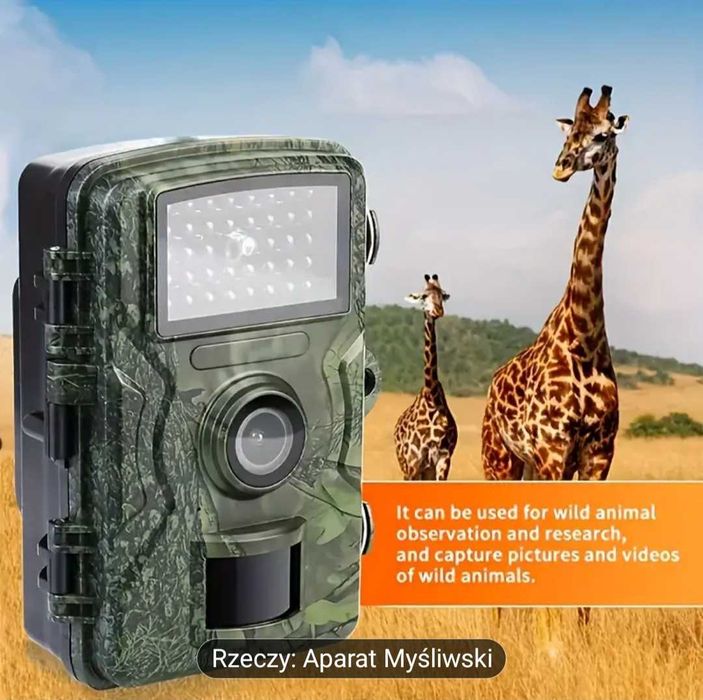 Foto pułapka kamerka leśna