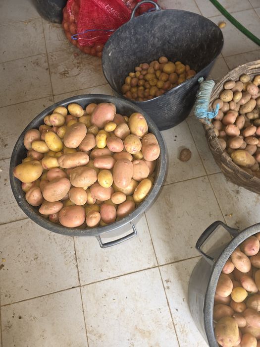 Venda batata nova 20kg por apenas 14€ -0,70€/ o Quilo - Avó Mimi - Castelo de Paiva -Telf:911588868