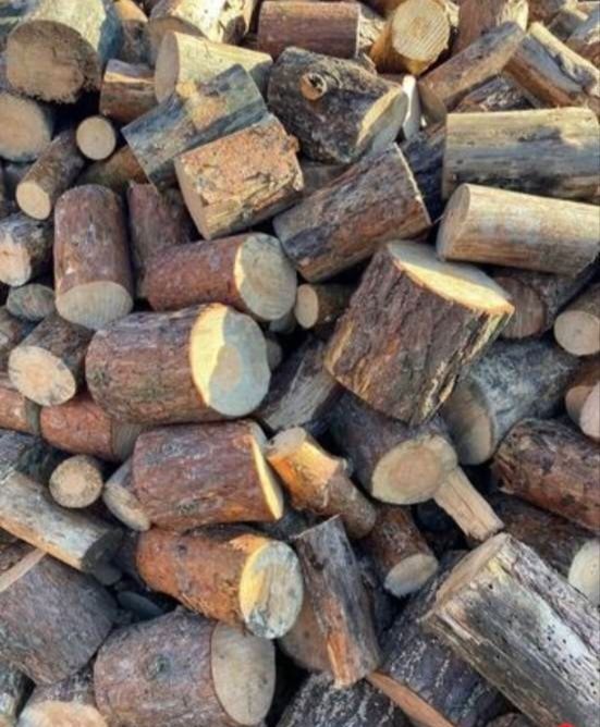 Drewno opałowe sosnowe. 5 metrów posuszu