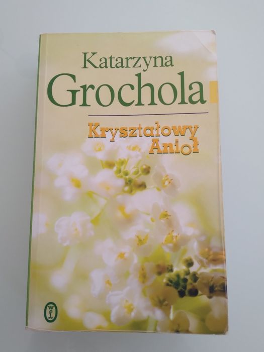 Katarzyna Grochola " Kryształowy anioł"