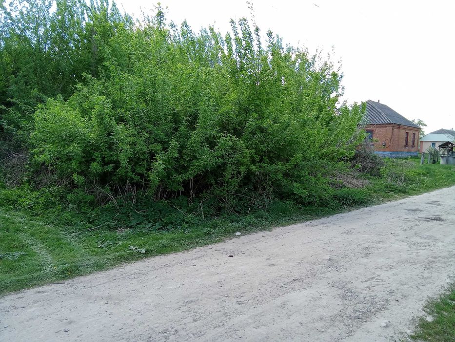 Продам земельну ділянку