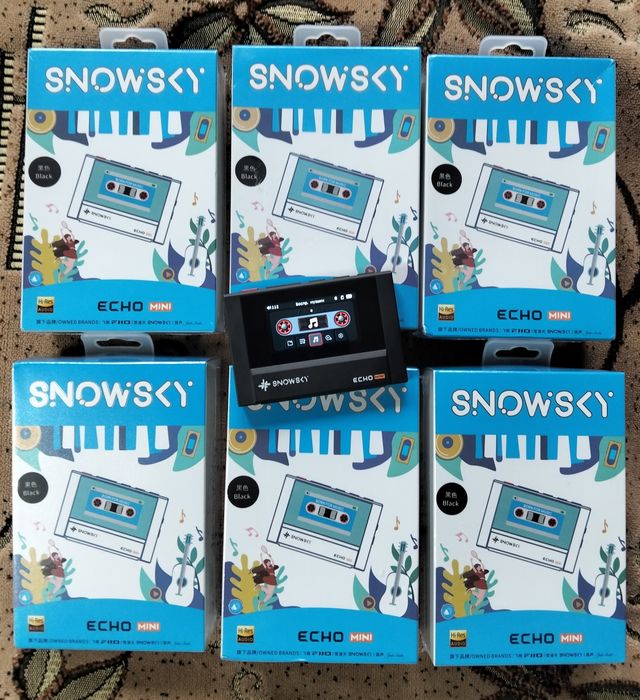 Fiio snowsky echo mini