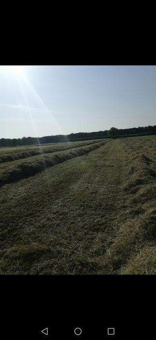 Siano pierwszy i drugi pokos