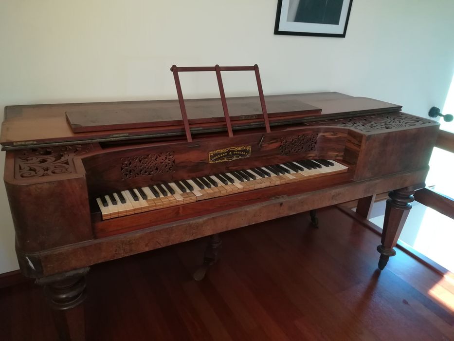 Piano collard e collard