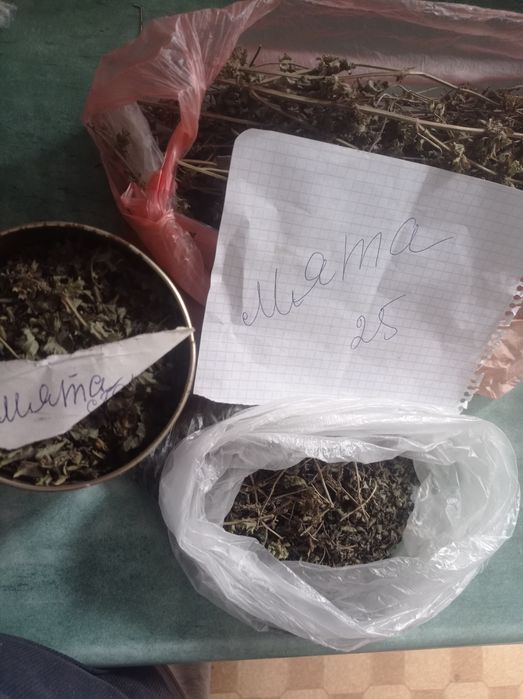 М'ята .мята до чаю.
