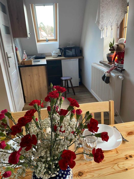 Mieszkanie na wynajem nad morzem  Mrzeżyno