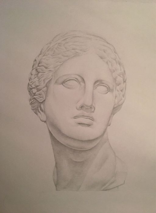 Рисунок грецьких скульптур/графічні роботи/Аполон/Венера/Антиной
