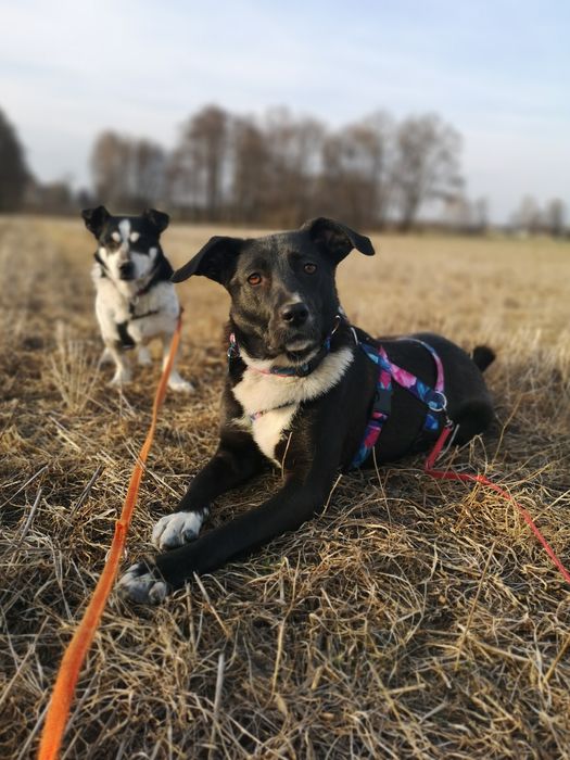 Zocha dla wyjątkowej osoby