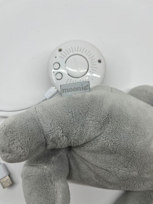 Szumiący miś z lampką