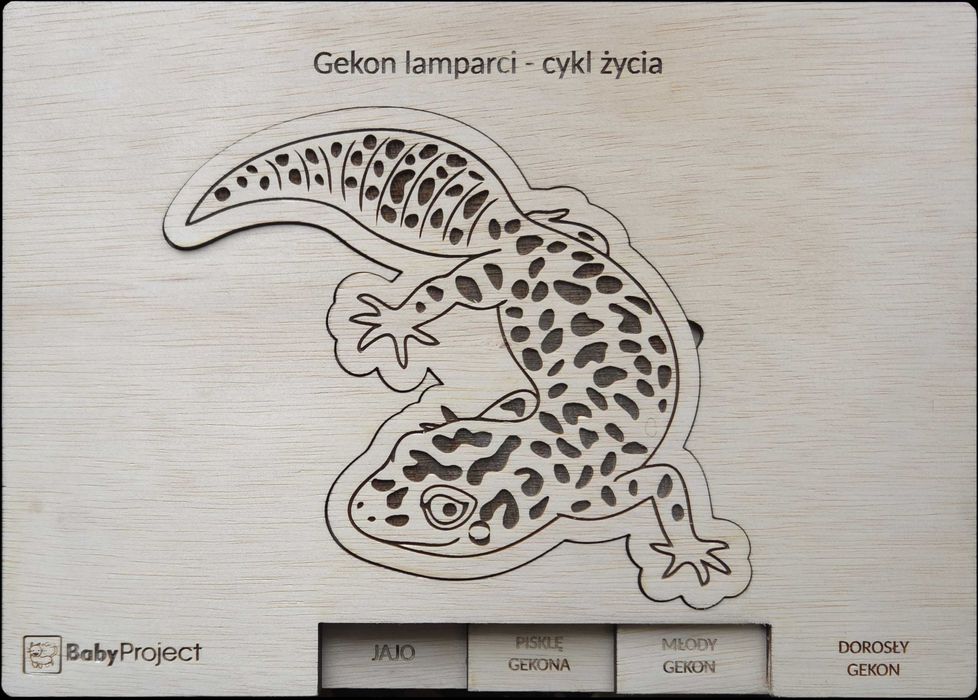 Tablica edukacyjna - puzzle "Cykl życia gekona lamparciego"
