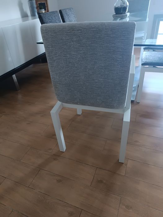 Duas Cadeiras de jantar modernas