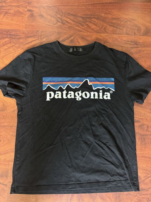 Футболка patagonia