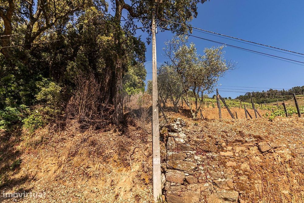 Terreno  para venda