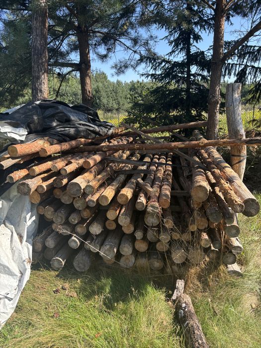 Steple budowalne drewniane suszone 310cm