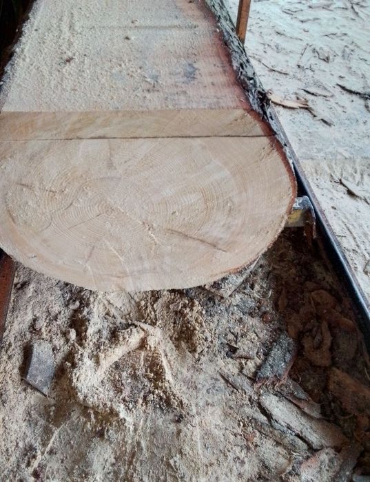 Tarcica foszty deski bukowe dębowe