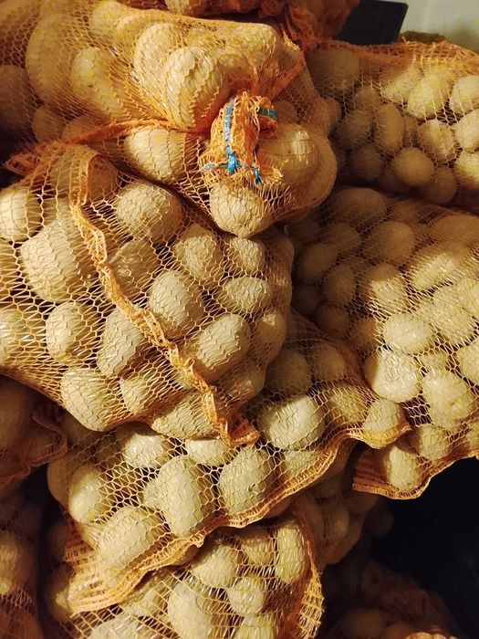 sprzedam ziemniaki odmiany sunita soraya