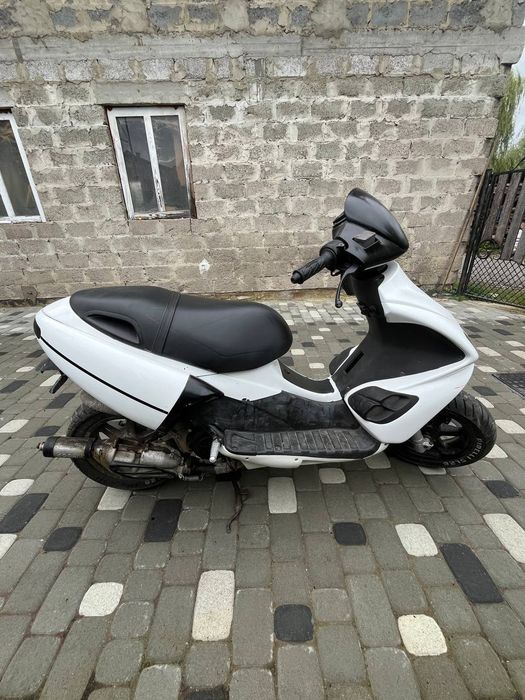 Benelli 491 бенеллі