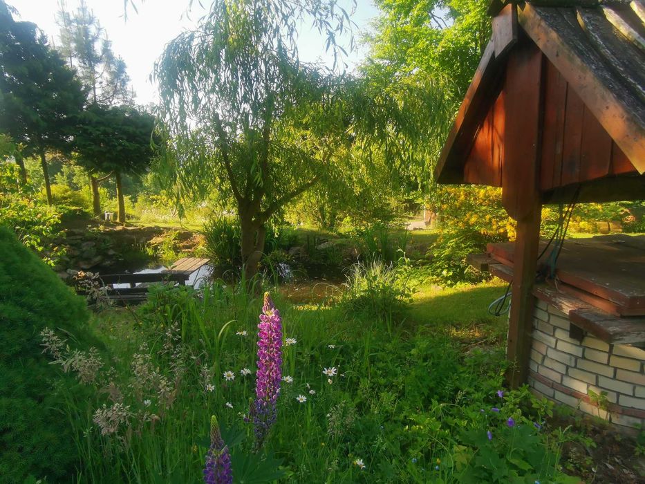 Dom w górach wyłączność Święta Sudety Góry Sowie  widok noclegi