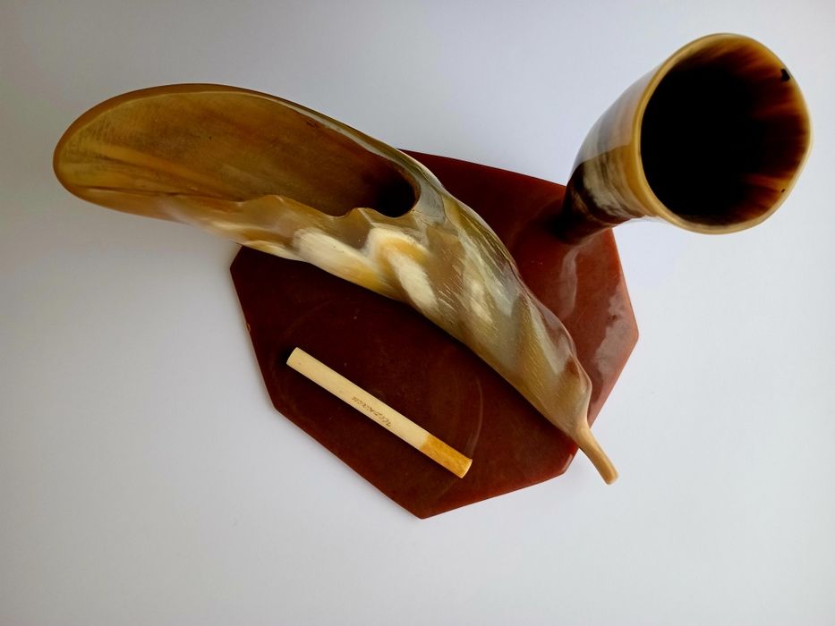 Органайзер настільний ріг Достатку рог Изобилия из рогів диких тварин