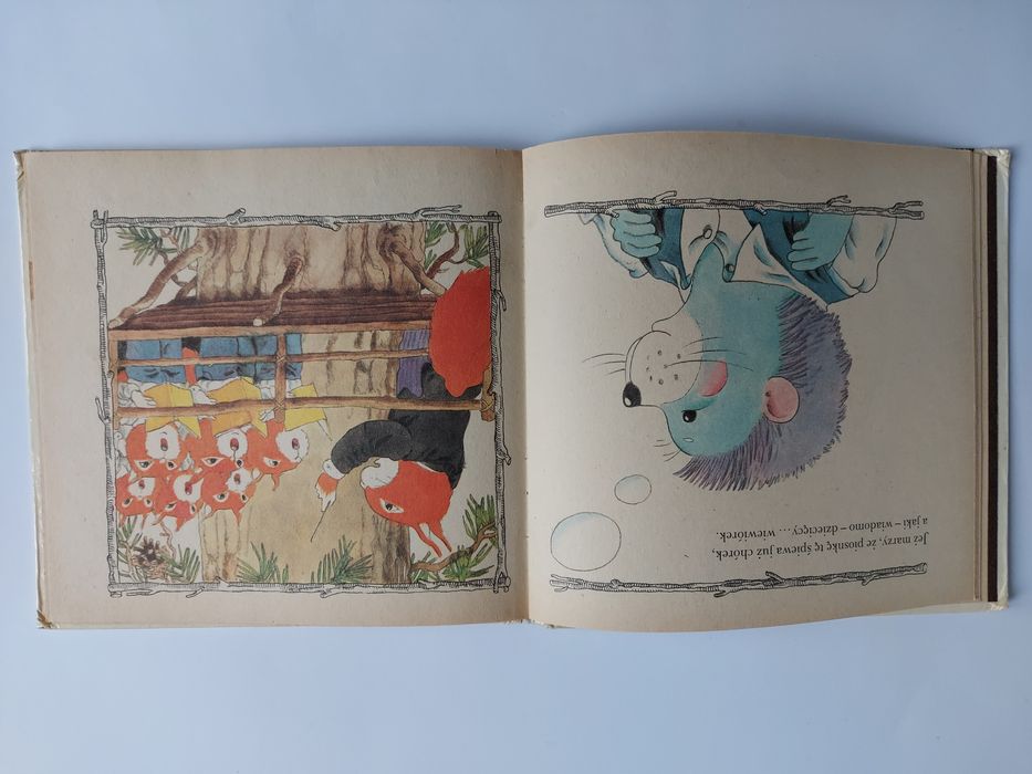 Jeż w grzybnym lesie - Nils Werner