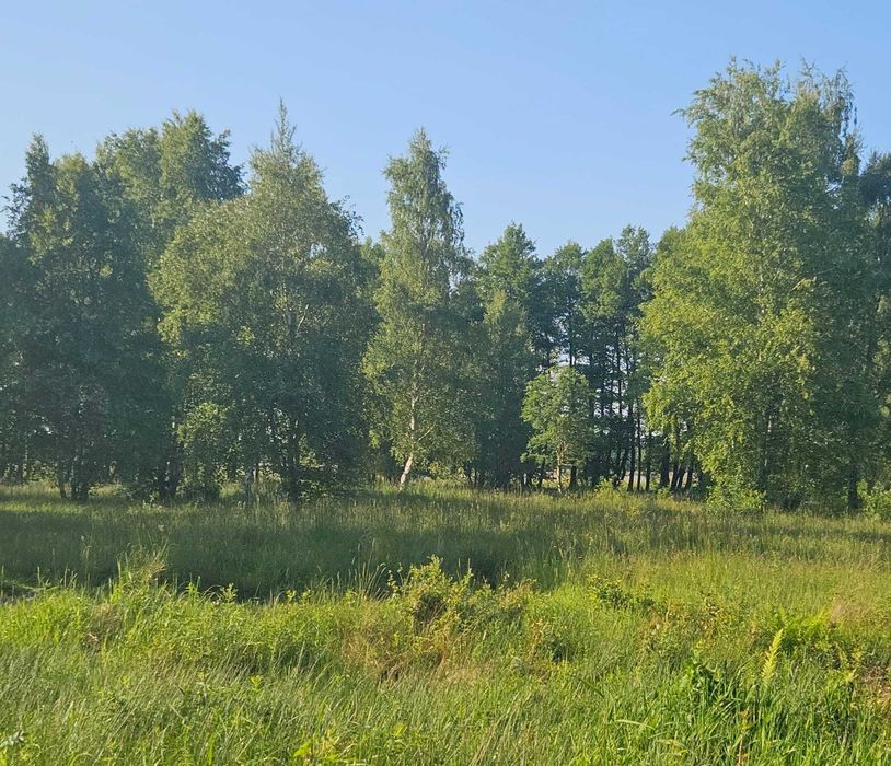 Działka, ziemia, nieruchomości