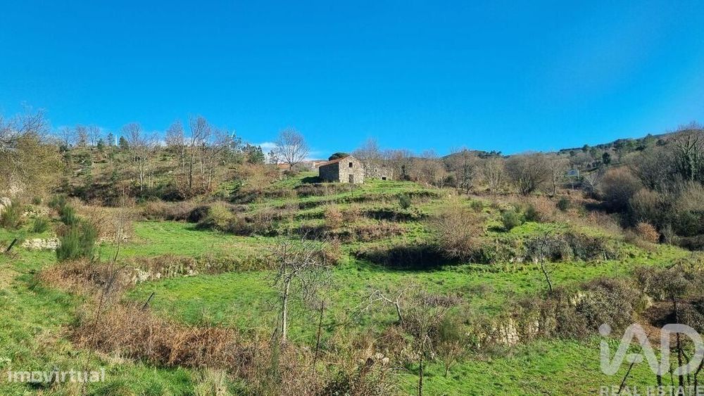 Terreno Agrícola em Cortiçô da Serra, Vide entre Vinhas e Salgueirais