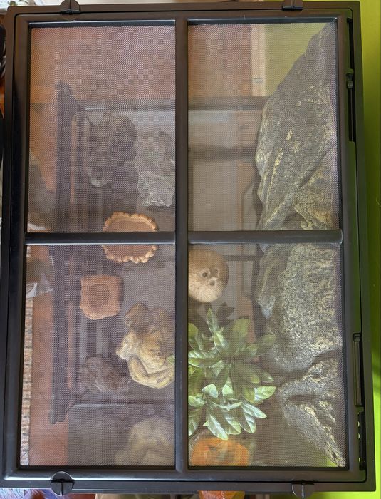 Terrário Exo Terra 60x45x45 como novo