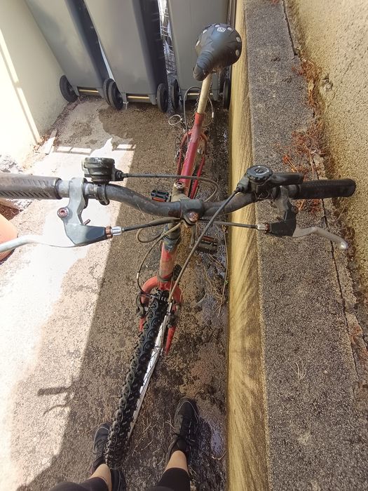 Bicicleta BTT Everest
