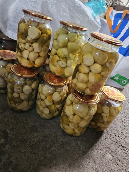Продам мариновані білі гриби