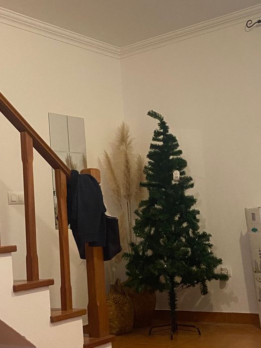 Árvore de Natal Nova