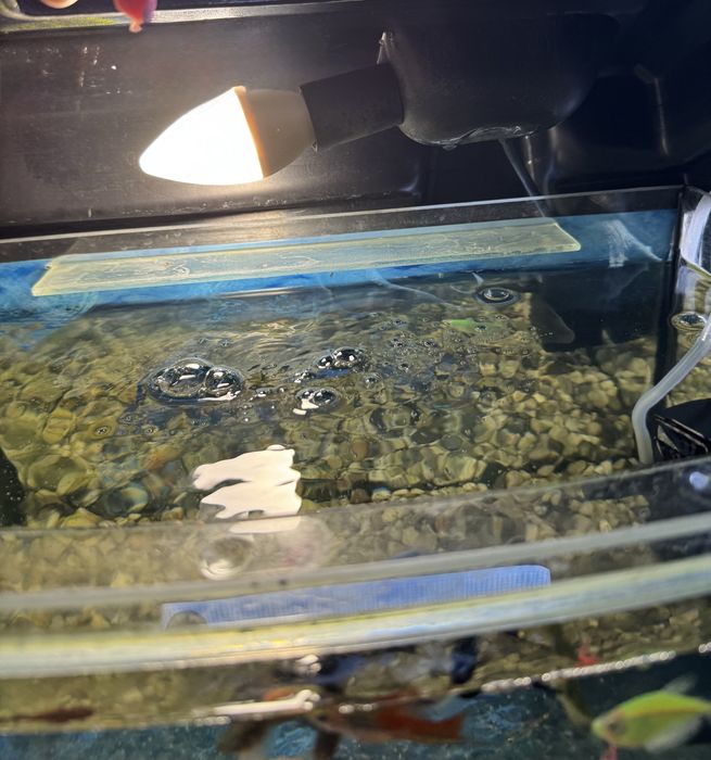 Аквариум 30л.