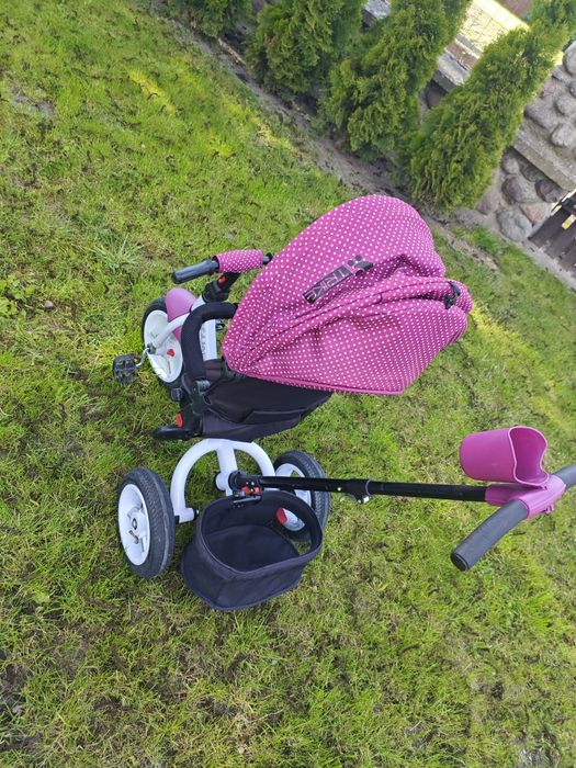 Rower trójkołowy Lorelli Jaguar. Rowerek dla dziecka